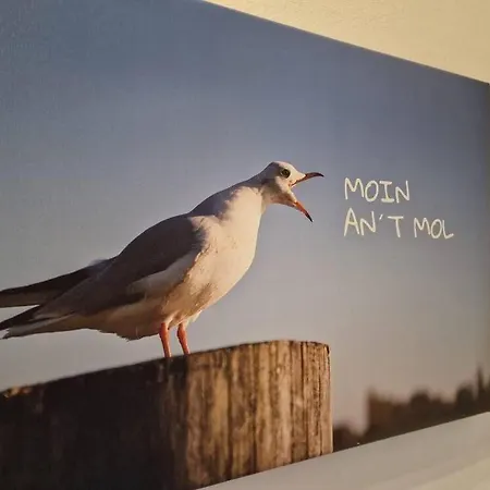 Ant-mol Appartamento *